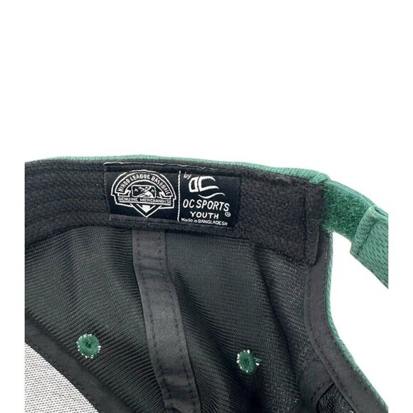 FORT WAYNE Tincaps Baseball Hat Cap Youth One Size Genuine Merchandise *SEE - Picture 7 of 7